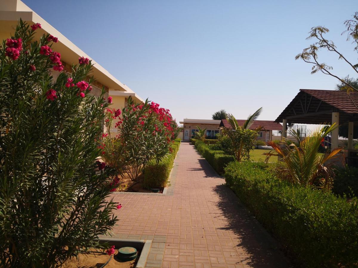 Almorouj Farm Inn - Badīyah Buitenkant foto